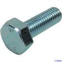 ■DAIDOHANT HP ユニクロ六角ボルト 5/16X25 2本入 10186058(8284310)