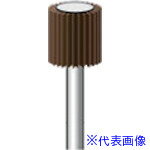 ���ʥ��˥� �ե�åץ������ 5���� ��10��10�߼���3 #120 49103(8314654)