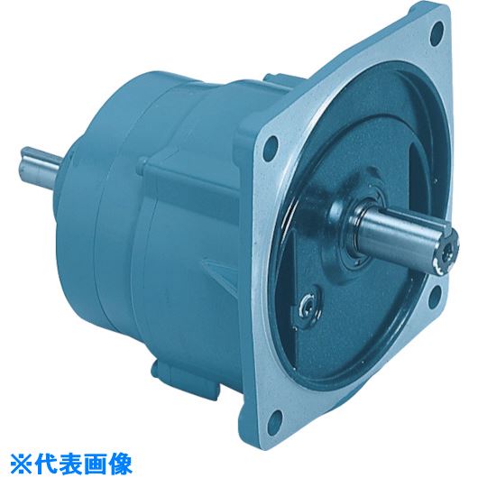 ޡ ʿԼξ0.4Kwե󥸼շ® ®1/160 WF204160(8484897)[ˡ͸][ľ]