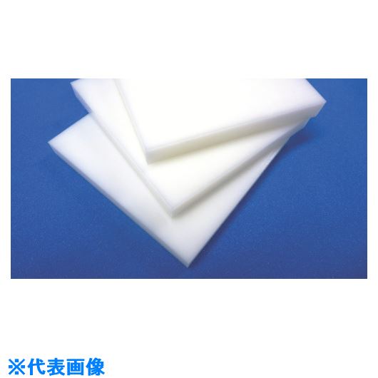 AK PTFE10tx195x195 PK19510T(8487009)[ӸѤ][ˡ͡Ƚ][ǳ]