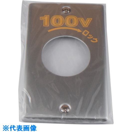 ■アメリカン電機 新金プレ-ト 引掛大穴1ケ用 P：101 100V 1161A100(8501060)[送料別途見積り][法人・事業所限定][掲外取寄]
