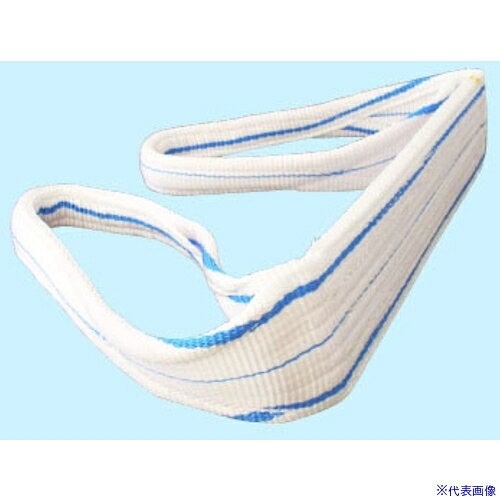 ■TESAC 耐化学薬品用スリング(JIS2等級・両端アイ形100mm幅×2.5m PP2E100X2.5(8518234)[送料別途お見積り][法人限定][掲外取寄]