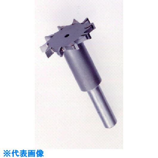 ■AUTOMACH ビッグボーンカッターB25310木工・アルミ・プラスチック専用 B25310(8527197)[送料別途お見積り][法人限定][外直送]