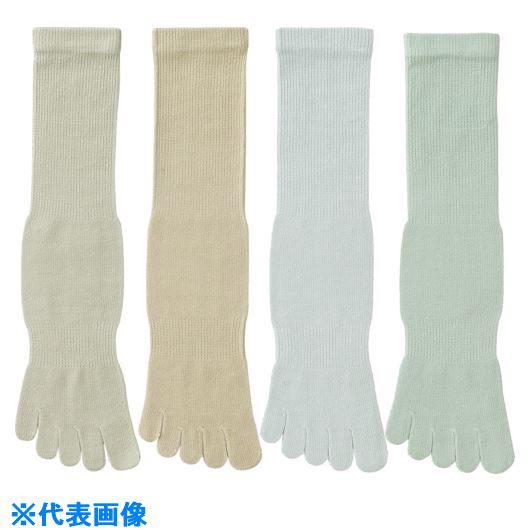 �����ȥ� 5�ܻط������ݡ������� ���顼 4­�� BP22114P(8572571)��5[�������Ӹ��Ѥ�][ˡ�͡����Ƚ����][�ǳ����]