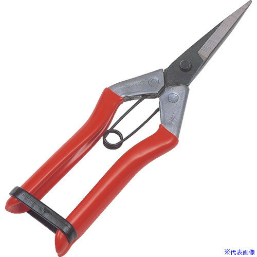 ��GS ��ʡ ������ 2286(8682285)[�������Ӹ��Ѥ�][ˡ�͡����Ƚ����][�ǳ����]