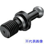 ■サンドビック プルスタッドボルト(810) PSB40C60001(8690132)[送料別途見積り][法人・事業所限定][掲外取寄]