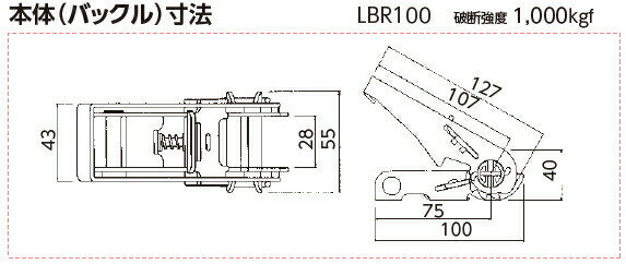 OH(オーエッチ工業)　荷締機　ラッシングベルト　LBR100 DR5-40DR　ラチェットバックル　端末金具：デルタリング　ベルト長さ：固定側0.5/巻取側4m　[受注生産品]
