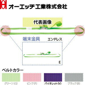 OH(オーエッチ工業)　荷締機　ラッシングベルト　ラチェットタイプ　SR70E-V　ベルトカラー：バイオレ..