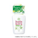 ライオン hadakara(ハダカラ)ボディソープ 泡で出てくるサラサラfeelタイプ グリーンシトラスの香り 本体 530ml