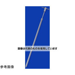 アイシス ステンパウダーマイクロサンプラーチップ0.25mL外径12.5mm SS-PTS1003 入数：1個