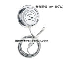 佐藤計量器製作所 壁掛型隔測式温度計(アクリル仕様)0~50℃ LB-100S 入数:1台(4)