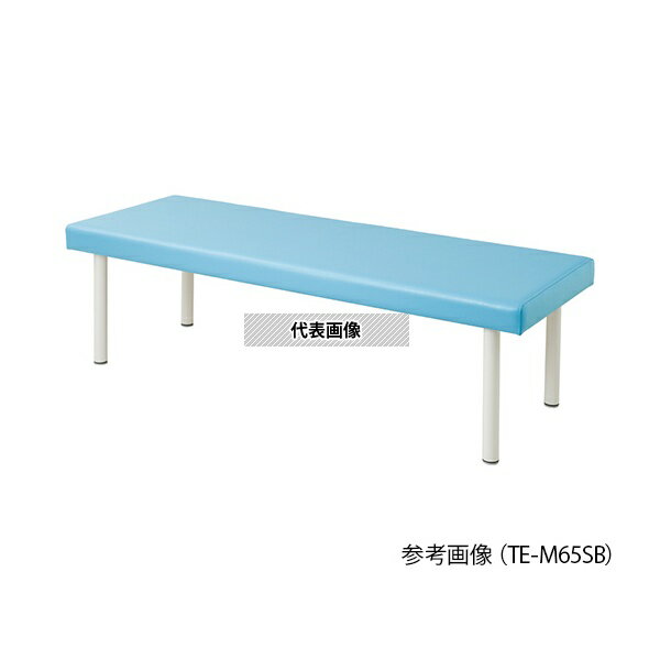 ナビス(アズワン) TE-M65SB カラフル診察台 650×1800×550mm スカイブルー