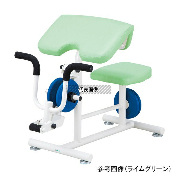 ナビス(アズワン) DAC-IV ダンベルアームカール アイボリー