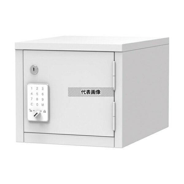 ナビス(アズワン) 材料キャビネット 麻薬庫 小