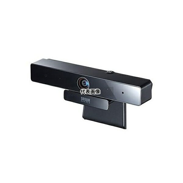 サンワサプライ EA764AW-4 500万画素 WEBカメラ(超広角103゜)