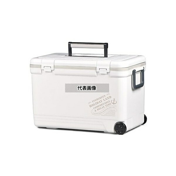 エスコ EA917AK-33B 574x315x369mm/33L クーラーボックス