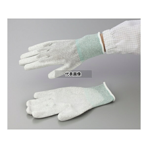 ԥ奢() ԥ奢 ESD(Сå) ʿ SS 10