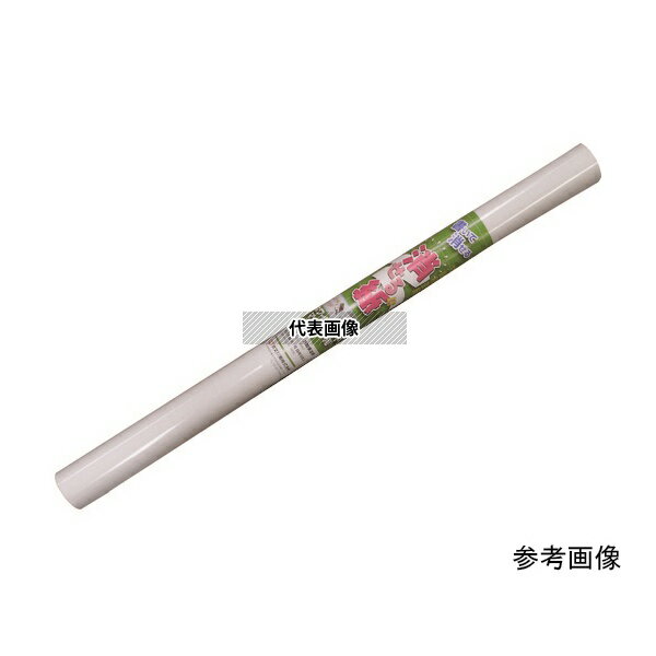 欧文印刷 M5CGSA1W05 消せる紙 A1(方眼5枚)