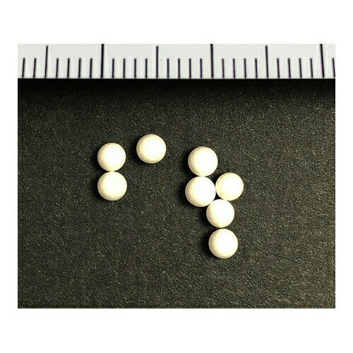 アズワン(AS ONE) ビーズ式粉砕機 セラミックビーズ(φ2.8mm) 1袋