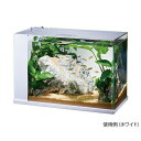 ジェックス LED&フィルター付オールインワン水槽セット ラクテリア ホワイト 1セット