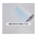 アズワン(AS ONE) 医療汎用記録紙 幅112mm×長20m(ロール型・無地・表巻き) 20巻入 CP-112-2 入数:1箱(20巻入)