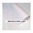 ちばら 心電図記録紙 幅216mm×長60m(ロール型・表巻き) 10巻入 NRS216-6B 入数:1箱(10巻入)