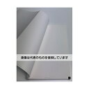 ちばら 心電図記録紙 幅210mm×長30m/折140mm(折り畳み型) 18冊入 CQW210-3-140 入数:1箱(18冊入)