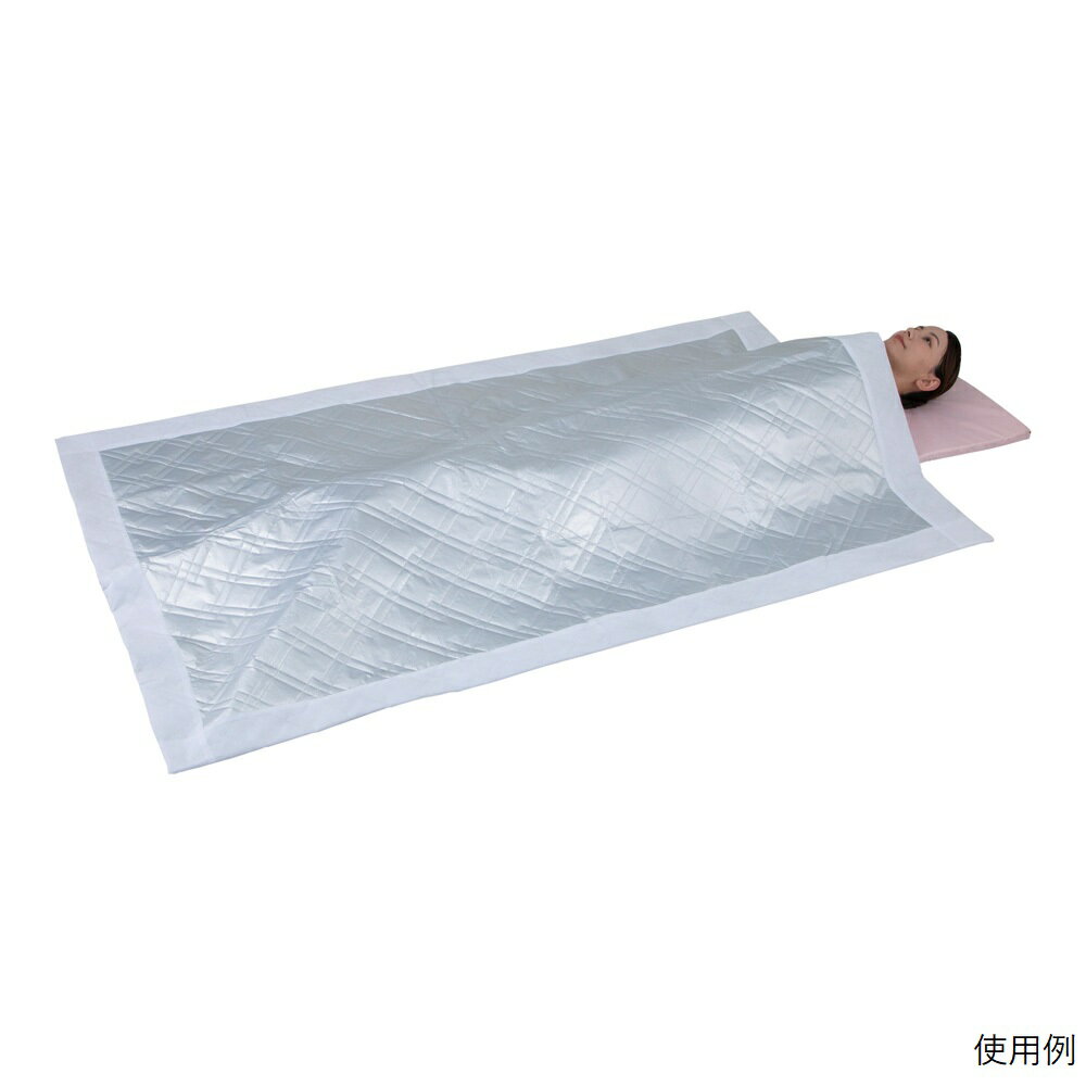 ナビス（アズワン） ディスポ布団 10枚入 DSPF 入数：1箱(1枚×10袋入)