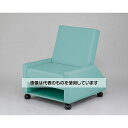 ナビス(アズワン) チェアベッド 730×830×940mm キウイ Chair-G 入数:1個