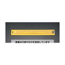 エスコ 400mm セーフティーカッター定規 EA720Y-1 入数:1本