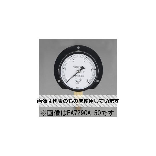 エスコ フレアー1/4