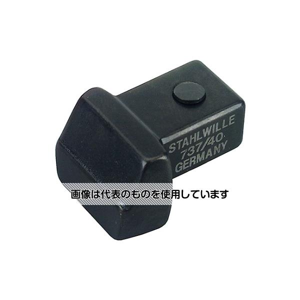 【アズワン AS ONE】実験室設備 工具類 工具、道具 ●トルクレンチ用の差し替えブランクエンドヘッド。 ●ガンメタリック仕上げ。 商品の仕様 ●ジョイントサイズ(mm)：9x12 ●ヘッド面サイズ(hxb;mm)：8x14 ●ヘッド部厚み(h;mm)：14.5 ●質量(g)：35 ●メーカー型番：737/10 【※ご注意ください】商品は代表の画像を使用しています。