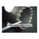 エスコ 6x170mm/#300 ダイヤモンドやすり(刃物研磨用) EA826VG-62 入数:1本