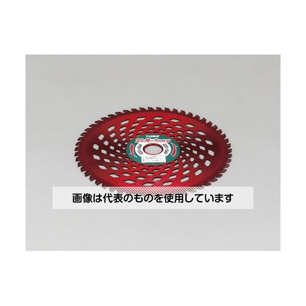 エスコ 255mmx60T 超硬チップソー(草刈機用) EA898B-42 入数：1枚