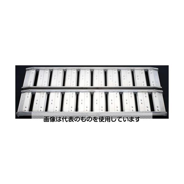 ���륤�� 0.30x2.42m/1.2ton �֥�å�(�������) EA905MG-33 ������1��