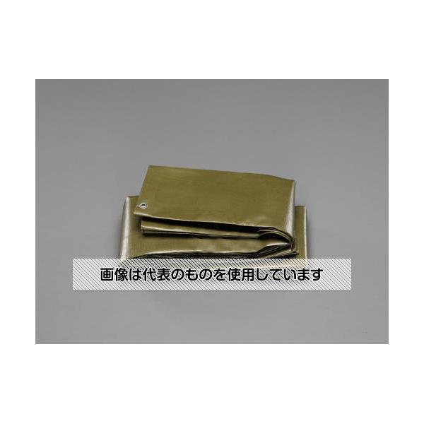 【アズワン AS ONE】実験室設備 工具類 工具、道具 商品の仕様 ●番手：＃4000 ●サイズ：5.4×5.4m ●ハトメ付 ●厚み：0.32mm ●材質：ポリエチレン ●ハトメ間ピッチ：0.9m ●ハトメ材質：アルミ ●UVカット(耐候剤添加品)・長寿命タイプ ●コード品番：EA915BB-63 【※ご注意ください】商品は代表の画像を使用しています。