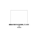 エスコ 300ml エナメルスプレー(白) EA942EM-21 入数:1本