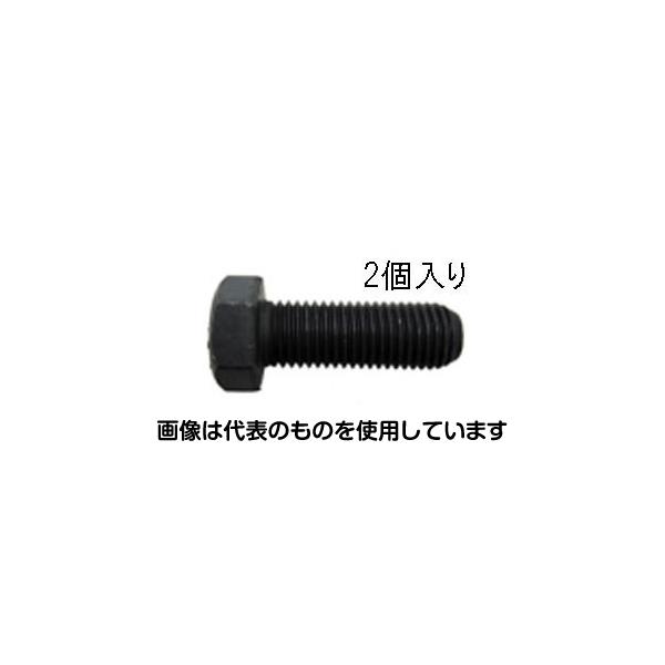 エスコ M16x 35mm [ISO-10.9]六角頭ボルト(2本) EA949HD-1602 入数：1パック(2本入)