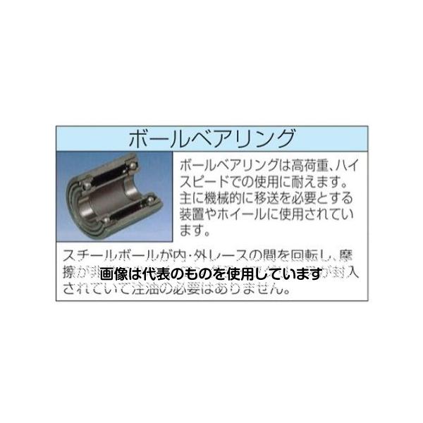 エスコ 200mm キャスター(自在金具・前輪ブレーキ付) EA986KG-5 入数：1個