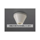 エスコ 250V/ 6A レセップ(E26口金) EA940C-81 入数:1個