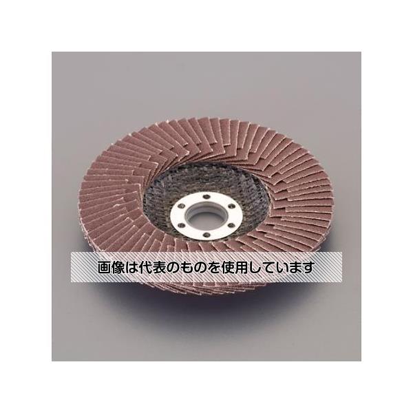 アズワン(AS ONE) #400/100mm リコディスク EA809CT-10A 入数：1枚