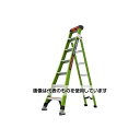 アズワン(AS ONE) 梯子兼用脚立 EA905EC-12 入数:1台