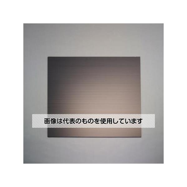 アズワン(AS ONE) 900x1500x3mm プラダン(サンプライ・導電/2枚) EA911BD-303 入数：1組(2枚入)