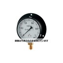 カクダイ 蒸気用圧力計(一般用・Bタイプ) 649-874-05B 入数:1個(4)