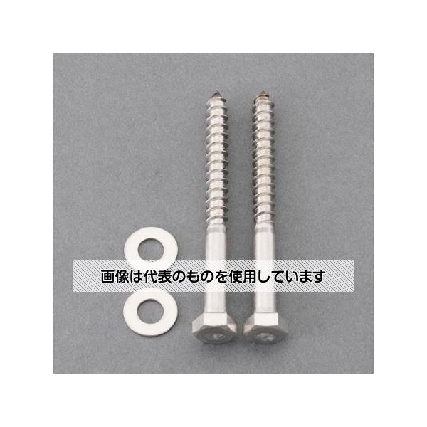 アズワン(AS ONE) 8.0x 65mm 六角コーチスクリュー(平座金付/SUS/2セット EA949EB-100 入数：1箱(2セット入)