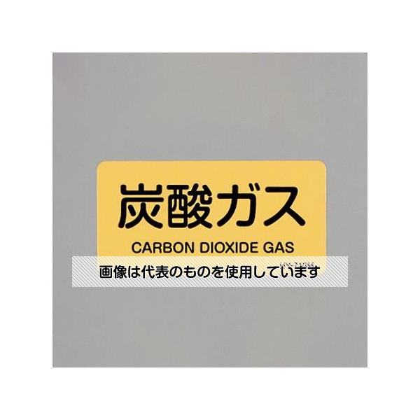 アズワン(AS ONE) 40x 80mm JIS配管識別ステッカー(炭酸ガス/10枚) EA983MJ-26 入数：1組(10枚入)