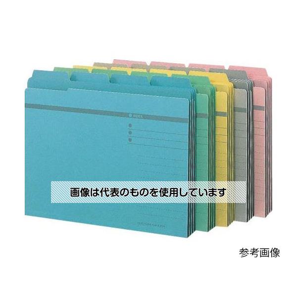 アズワン(AS ONE) A4/240x311mm カラーフォルダー[グレー](4冊) EA762CF-230 入数：1パック(4冊入)