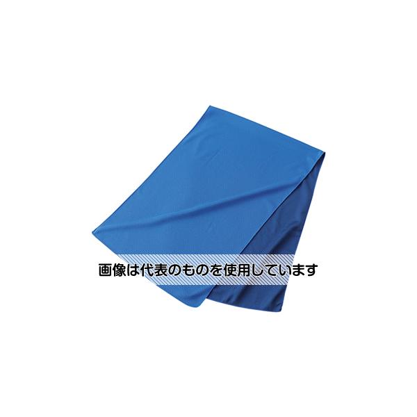 日本緑十字社 冷感タオル クールタオル(カラビナボトル付) ブルー 300×950mm 375670 入数：1枚
