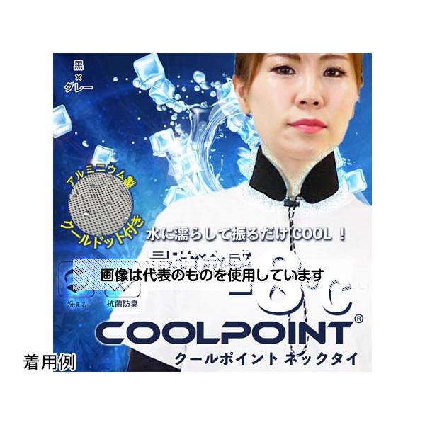 uC N[hbglbN^C COOLPOINT ~O[ BR-CP2 F1