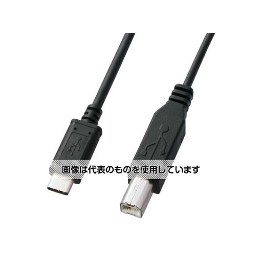エスコ 1.0m USBケーブル(CBタイプ) EA764AC-36A 入数:1個 エスコ 1.0m USBケーブル(CBタイプ) EA764AC-36A 入数:1個